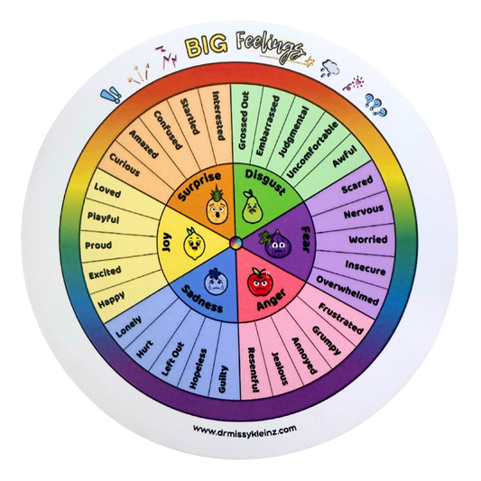BIG Feelings Wheel Magnet for Kids – Emotional Awareness Made Fun