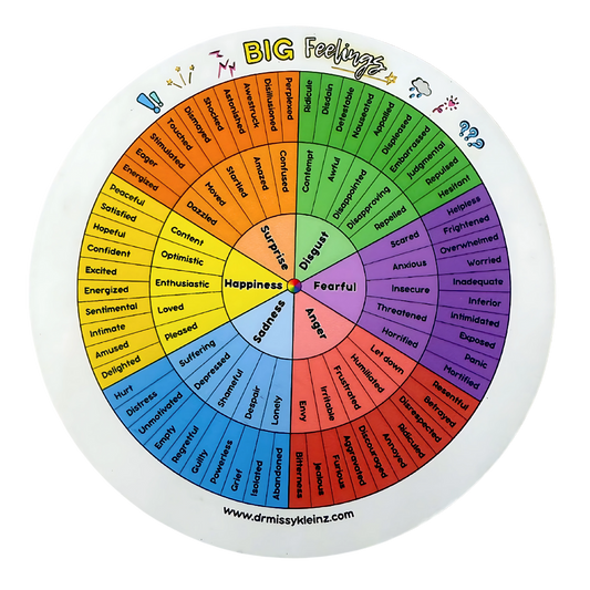 BIG Feelings Wheel Magnet – Emotional Check-In Tool for Home or Office