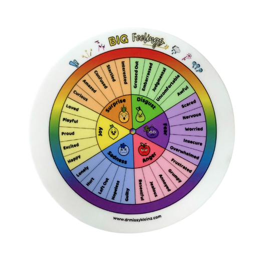 BIG Feelings Bunch Kids' Feelings Wheel Sticker – 3x3