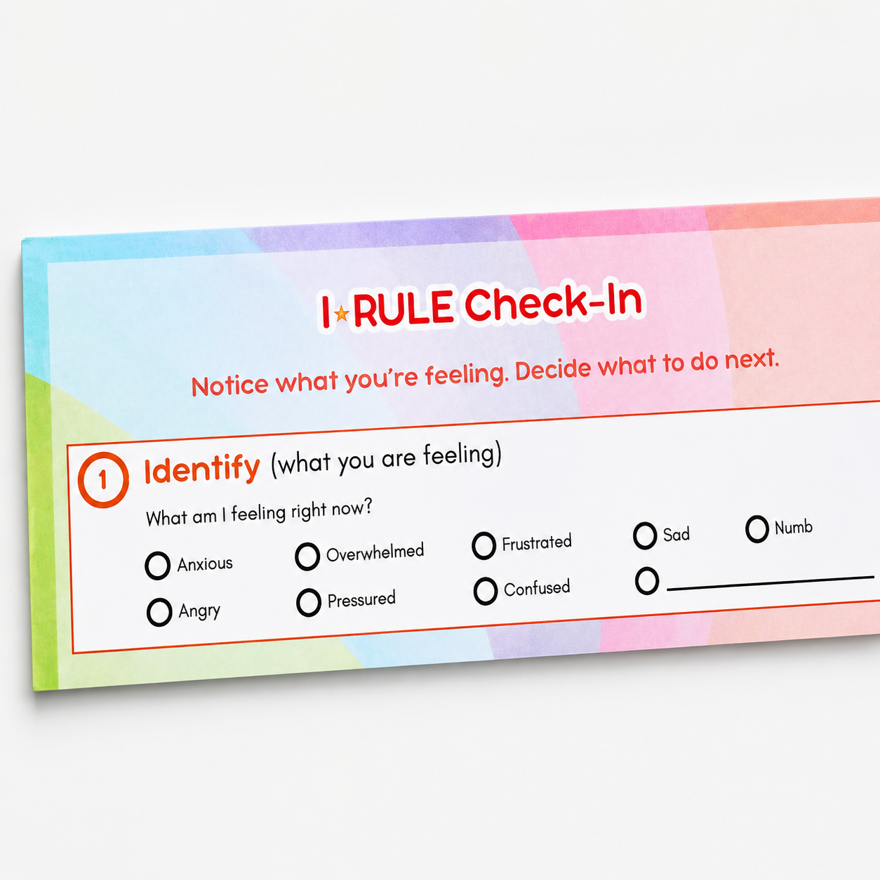 BIG Feelings IRULE Check-In Notepad